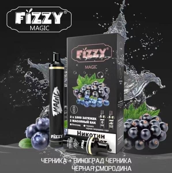 Устройство FIZZY Magic (Виноград-Черника, чёрная смородина) 2x1000тяг