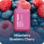 Одноразовая ЭС Lost Mary BM5000 - Strawberry Blueberry Cherry (Клубника Черника Вишня)