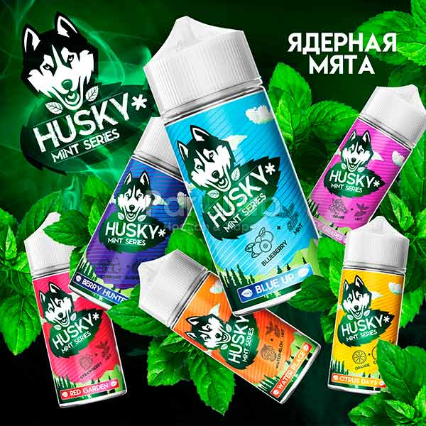 Жидкость Husky Mint - Water Place 100мл (3мг)