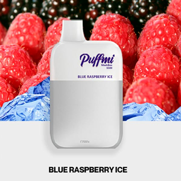 Одноразовая ЭС PuffMi DX5000 MeshBox - Blueberry Raspberry (Черника малина)