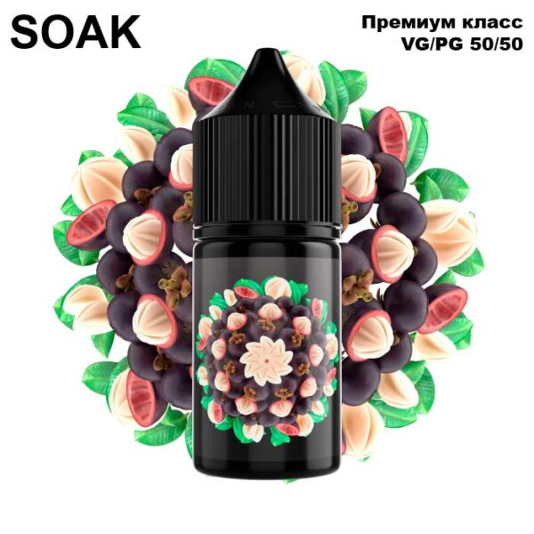 Жидкость SOAK L Salt - Mangosteen 30мл (20mg) (Premium)