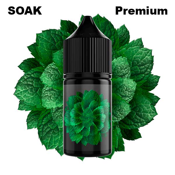 Жидкость SOAK L Salt - Cane Mint 30мл (20mg) (Premium)