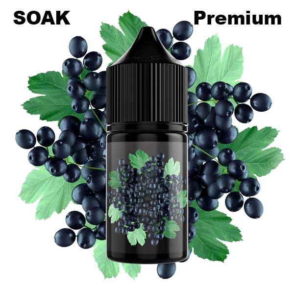 Жидкость SOAK L Salt - Forest Blackcurrant 30мл (20mg) (Premium)