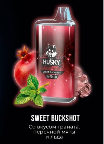 Одноразовая ЭС Husky Cyber 8000 - Sweet Buckshot (Гранат, Перечная Мята и Лед)