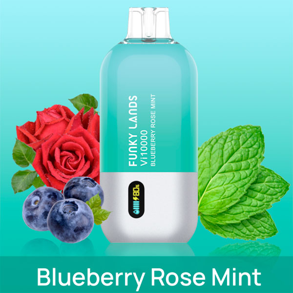 Одноразовая ЭС Funky Lands Vi10000 - Blueberry Rose Mint (Черника Роза Мята) (M)